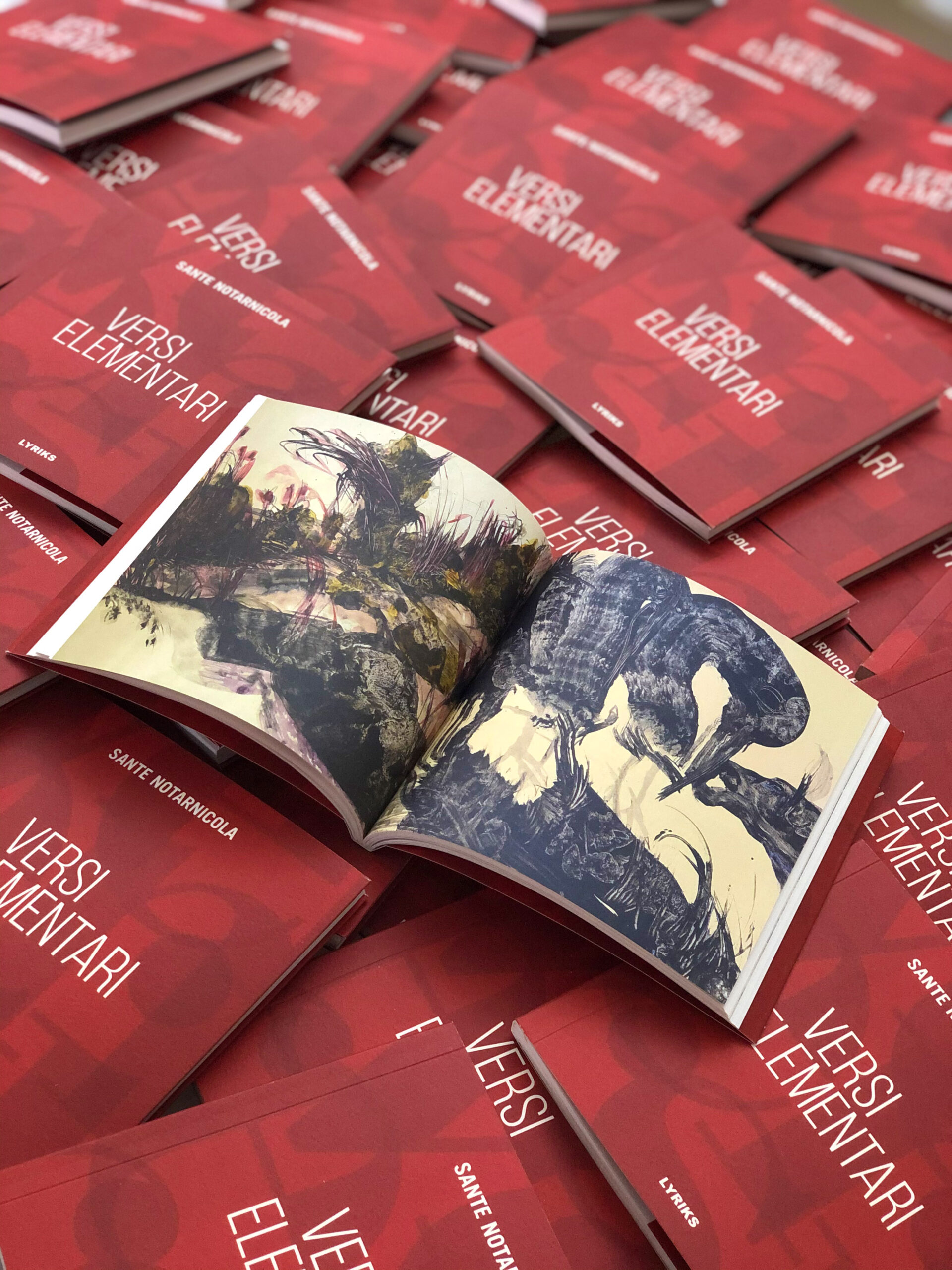 Versi Elementari - immagine 5