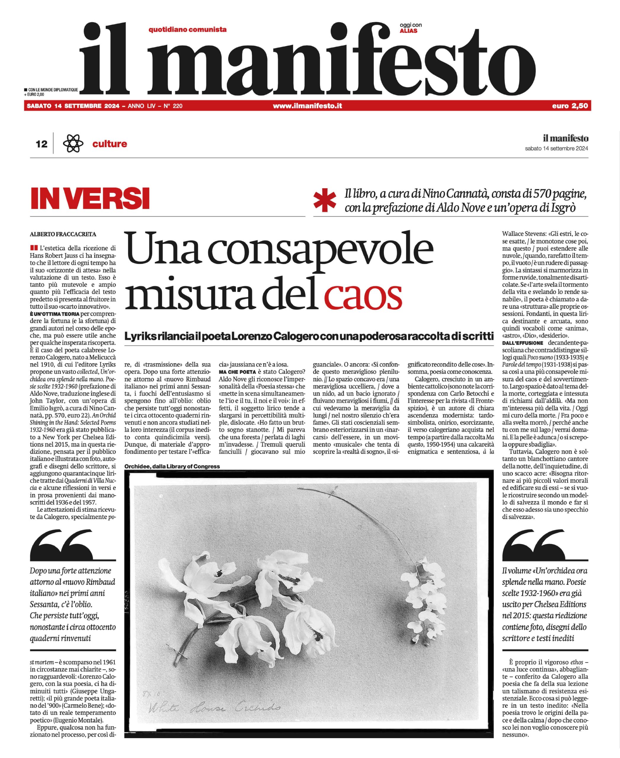 Un’orchidea ora splende nella mano - immagine 2